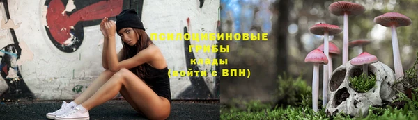 apvp Красноперекопск